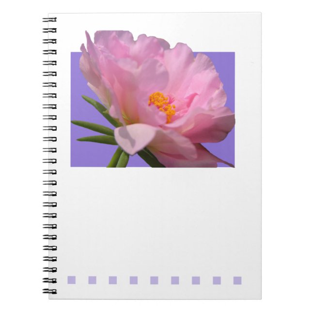 Pink Peony Notebook Notizblock (Vorderseite)
