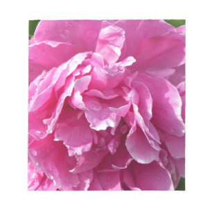Pink Peony Notizblock