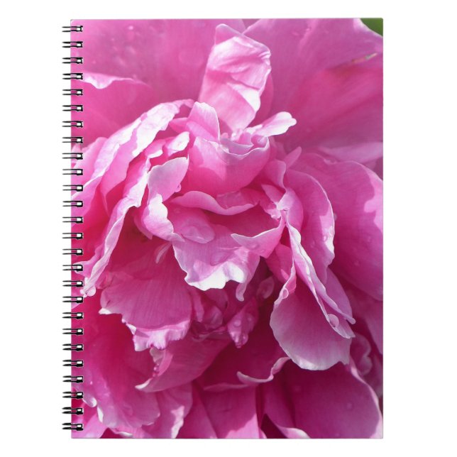Pink Peony Notizblock (Vorderseite)