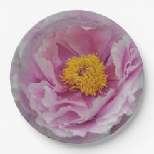 Pink Peony