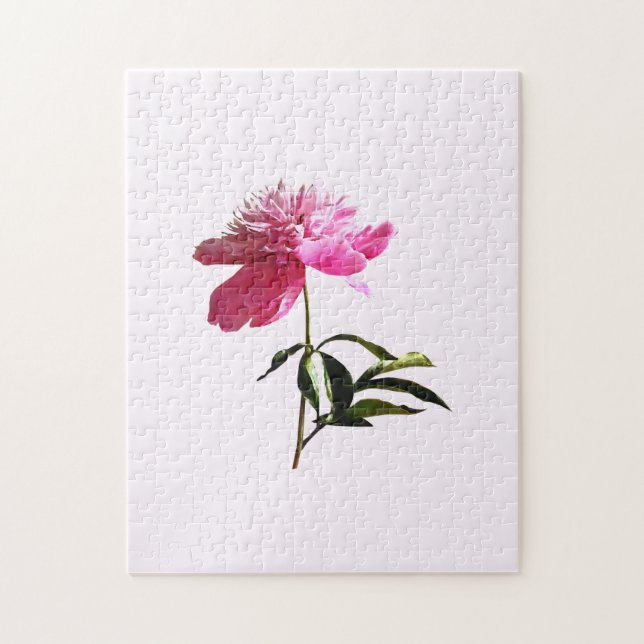 Pink Peony Profile (Vertikal)