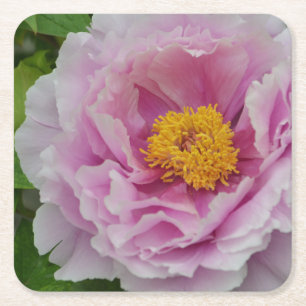 Pink Peony Rechteckiger Pappuntersetzer
