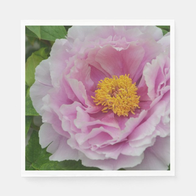 Pink Peony Serviette (Vorderseite)