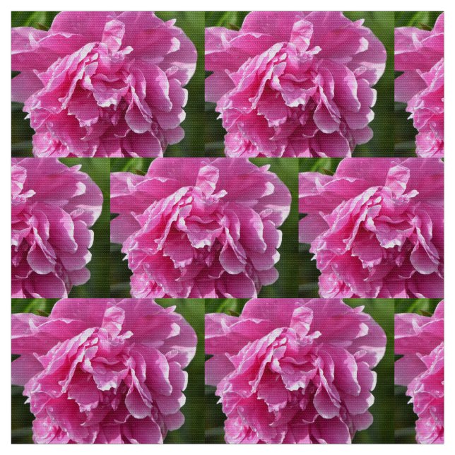 Pink Peony Stoff (Muster)