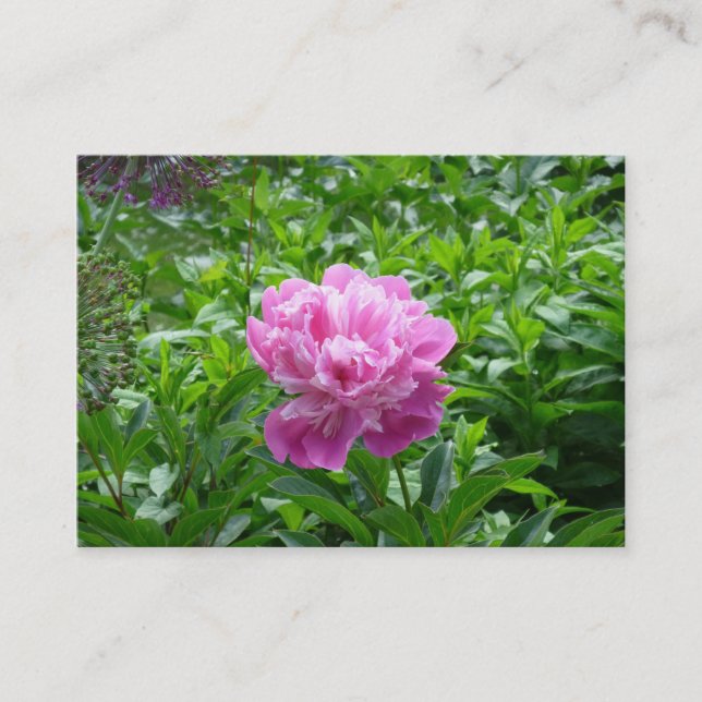 Pink Peony Visitenkarte (Vorderseite)