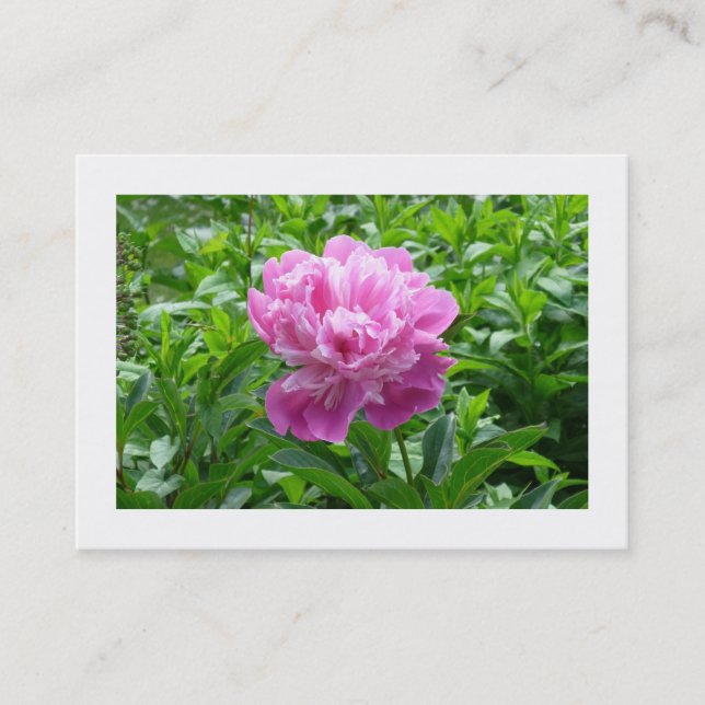 Pink Peony Visitenkarte (Vorderseite)