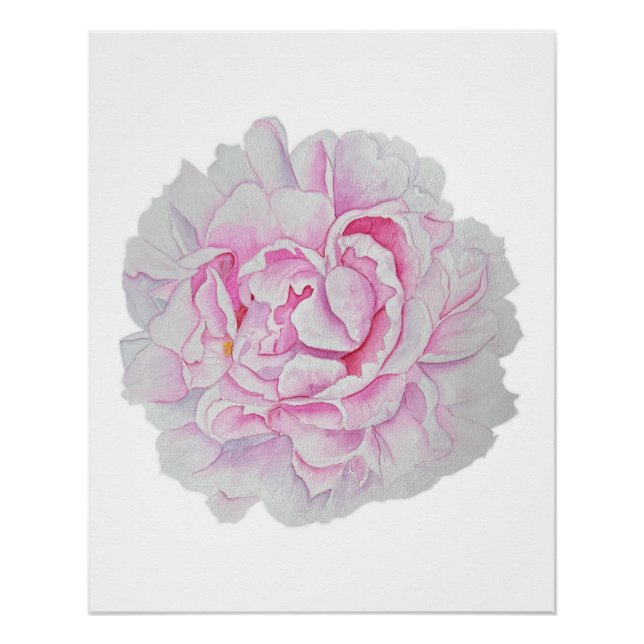 Pink Peony Watercolor Flower Poster (Vorderseite)