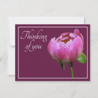Pink Peony Wein Farbe Hintergrund Denken Sie an Si