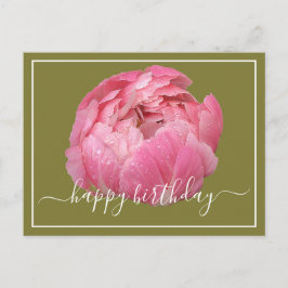 Pink Peony with Dew Dropdown Green Background Birt Postkarte