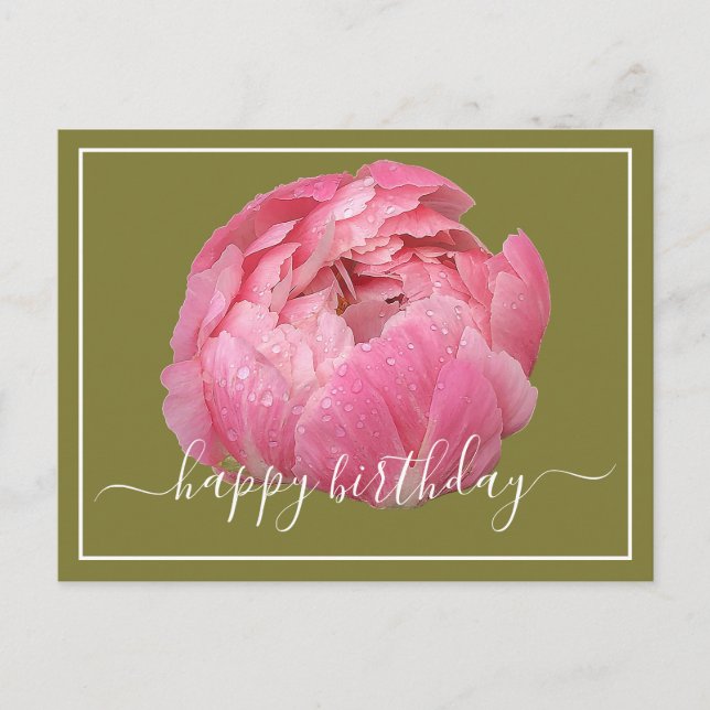 Pink Peony with Dew Dropdown Green Background Birt Postkarte (Vorderseite)