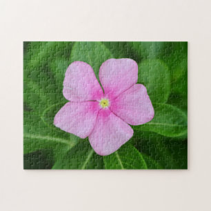 Pink Periwinkl Jardin Fleur Puzzle d'art