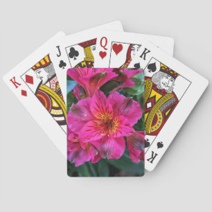 Pink Peruvian Lily Blume-79408 Spielkarten