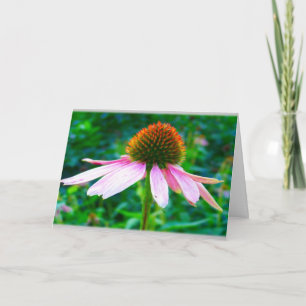 Pink Petals Floral Sympathie Karte