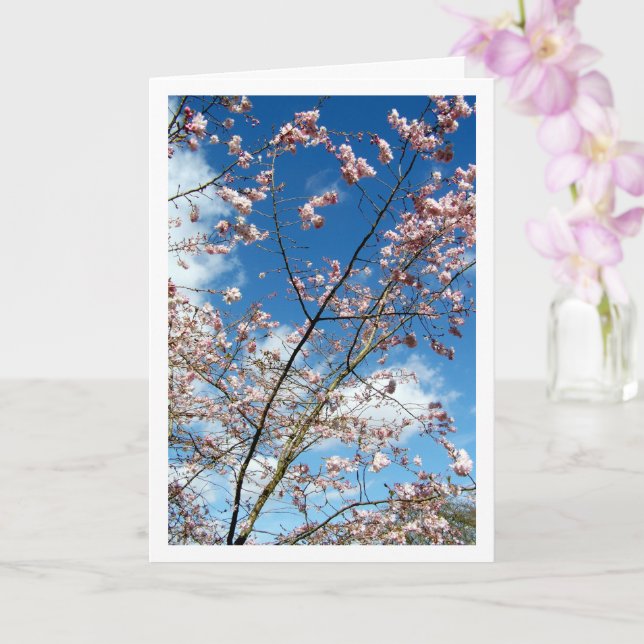 Pink Petals in Blue Sky Landschaft Karte (Orchidee)
