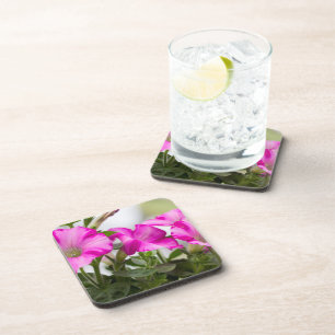 Pink Petunia Passion Untersetzer