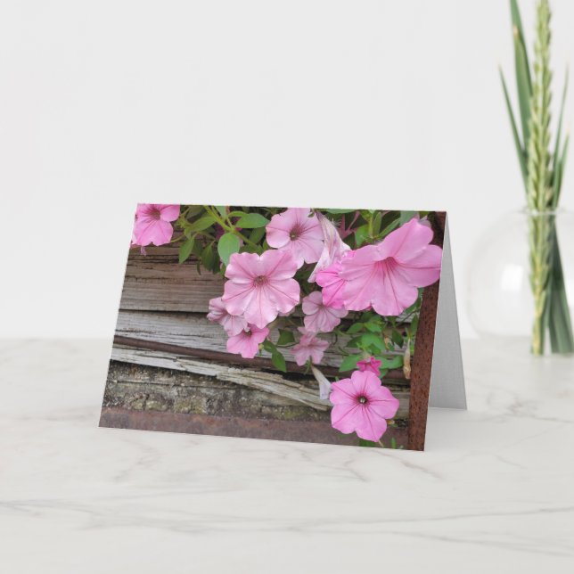 Pink Petunias auf rustikalem Holz Karte (Vorderseite)
