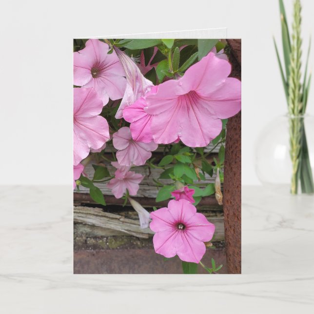 Pink Petunias Denken Sie an Sie Karte (Vorderseite)