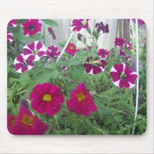 Pink Petunias Mousepad