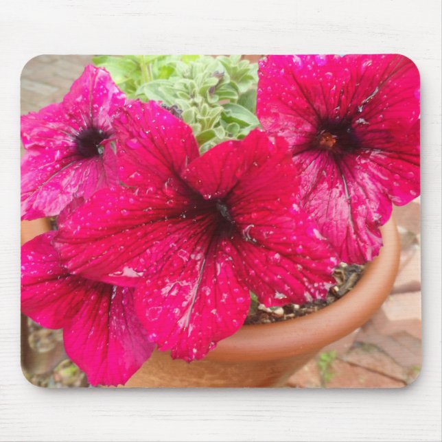 Pink Petunias Mousepad (Vorne)
