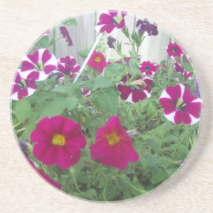Pink Petunias Sandstein Untersetzer