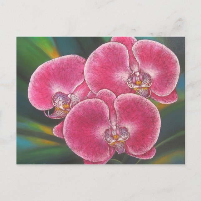 Pink Phalaenopsis Orchids Blume Acrylmalerei Postkarte (Vorderseite)