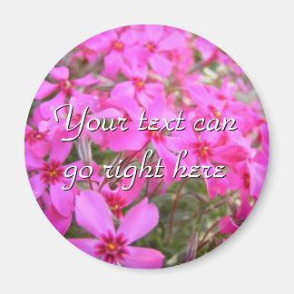 Pink Phlox Blume Magnet