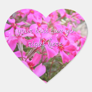 Pink Phlox Blume Stickers