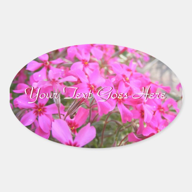 Pink Phlox Blume Stickers (Vorderseite)