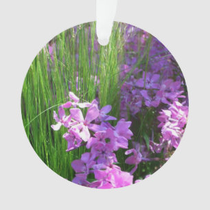 Pink Phlox et Grass été Floral