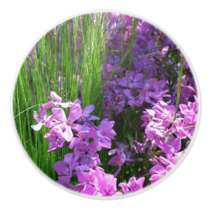 Pink Phlox und Gras Sommer Blüten Keramikknauf