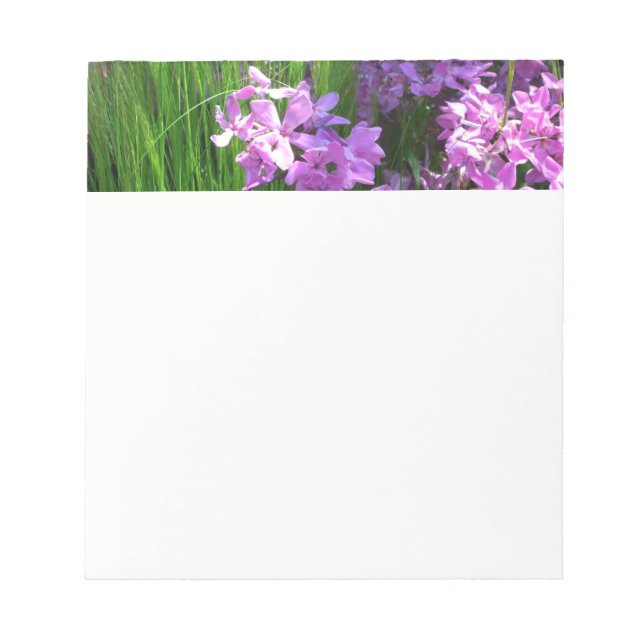 Pink Phlox und Gras Sommer Blüten Notizblock (Vorderseite)