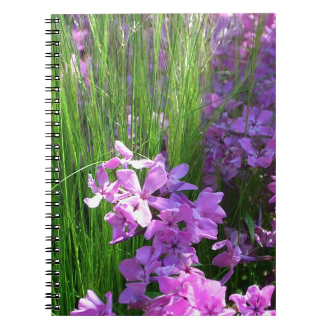 Pink Phlox und Gras Sommer Blüten Notizblock (Vorderseite)
