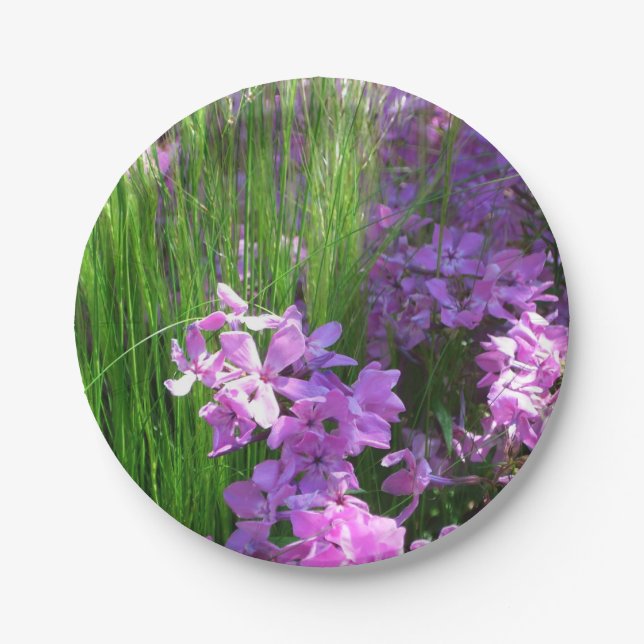 Pink Phlox und Gras Sommer Blüten Pappteller (Vorderseite)