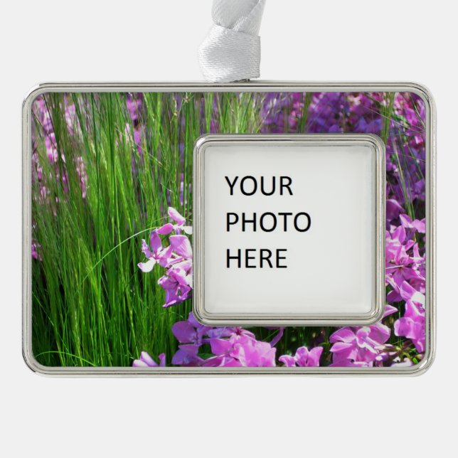 Pink Phlox und Gras Sommer Blüten Rahmen-Ornament Silber (Vorderseite)