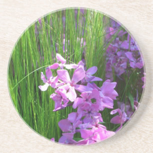 Pink Phlox und Gras Sommer Blüten Sandstein Untersetzer
