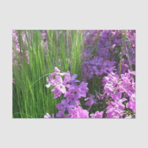Pink Phlox und Gras Sommer Blüten Seidenpapier