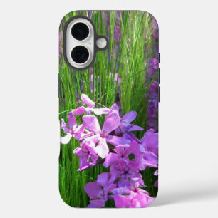 Pink Phlox und Gras Sommer Blüten title_seo2