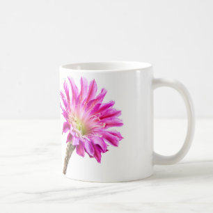 Pink Piazza Kaktus Blume in Blüte Kaffeetasse