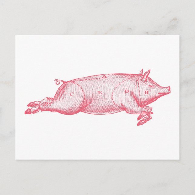 Pink Pig Postkarte (Vorderseite)