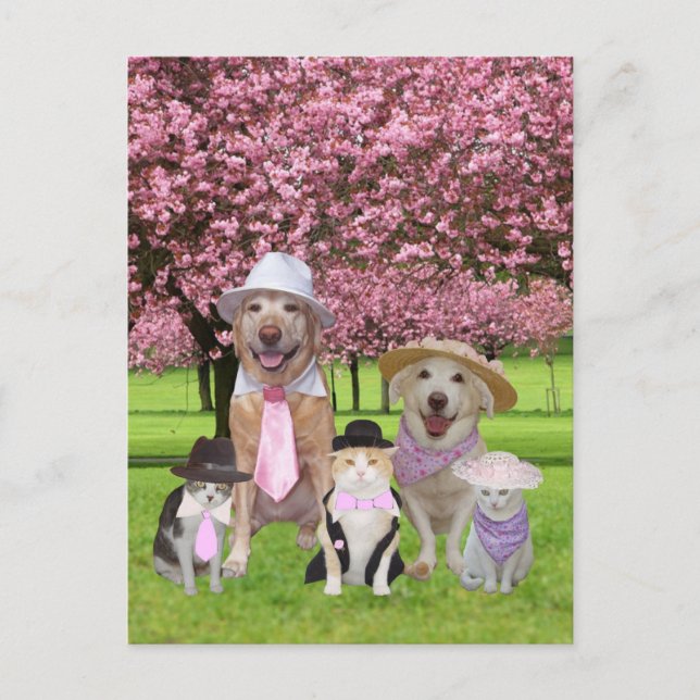 Pink Pink-Thema individuell einstellbar Postkarte (Vorderseite)