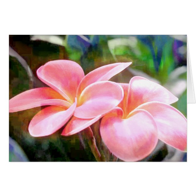 Pink Plumeria (Devant Horizontal)