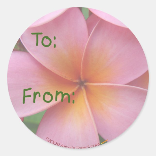 Pink Plumeria Gift Aufkleber (Vorderseite)