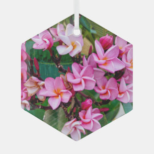 Pink Plumeria Ornament Aus Glas