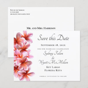 Pink Plumeria Save the Date Weiße Postkarte