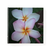 Pink Plumeria Spiral Notebook