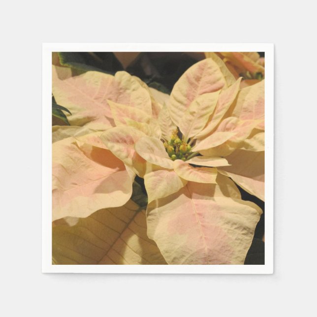 Pink Poinsettia Blume Paper Party Napkins Serviette (Vorderseite)