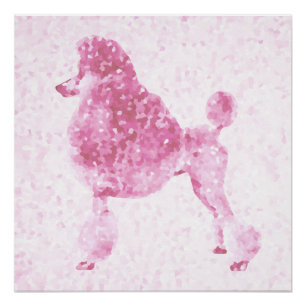 Pink Poodle Poster