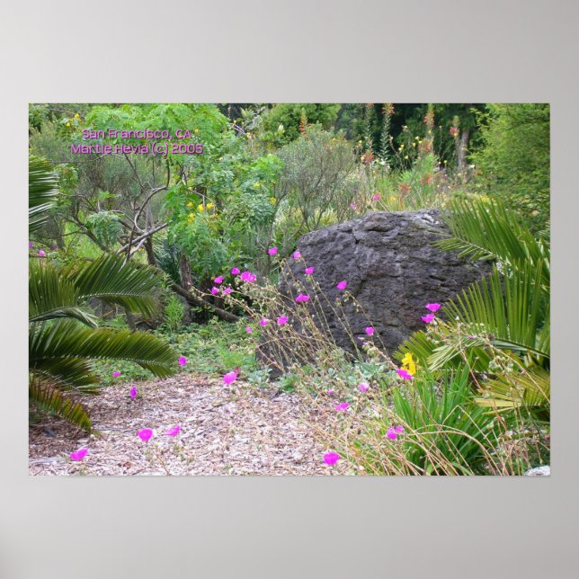 Pink Poppies Garden Print - Wählen Sie Ihre Rahmen Poster (Vorne)