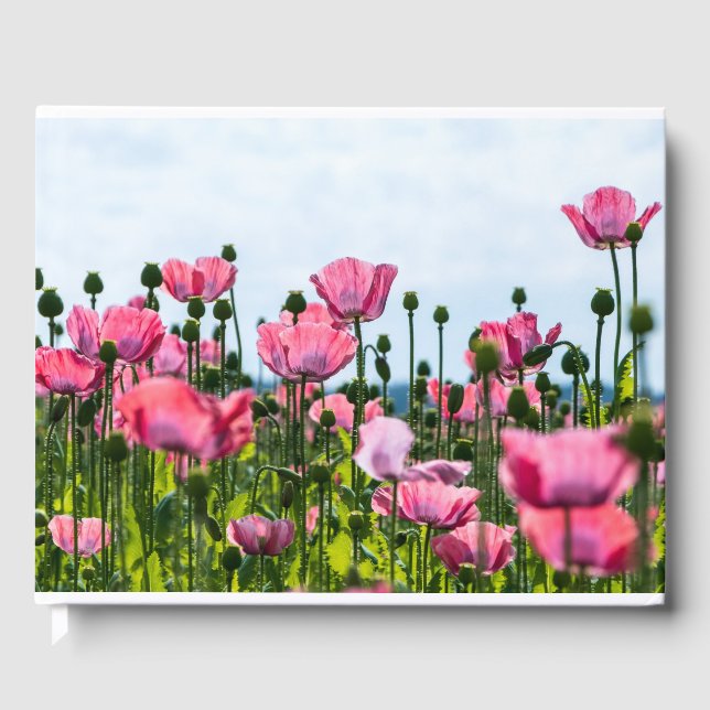 Pink Poppies Gästebuch (Vorderseite)