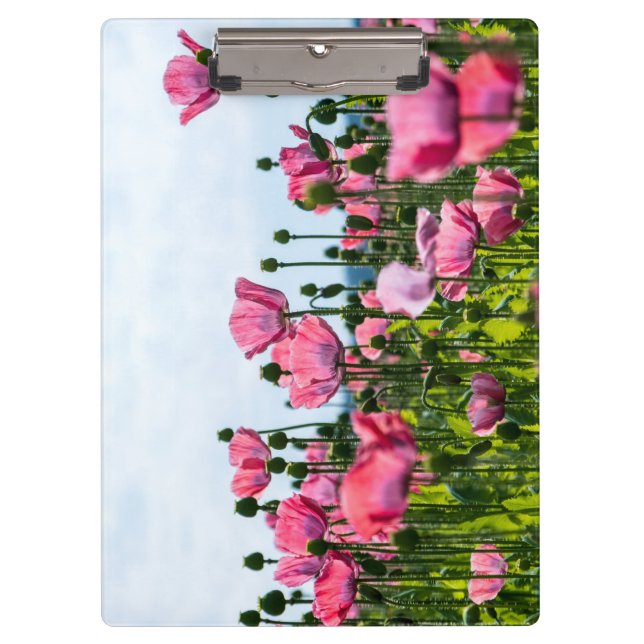 Pink Poppies Klemmbrett (Vorderseite)